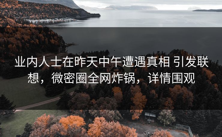 业内人士在昨天中午遭遇真相 引发联想，微密圈全网炸锅，详情围观