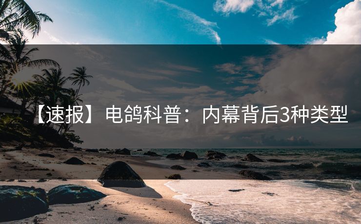 【速报】电鸽科普：内幕背后3种类型