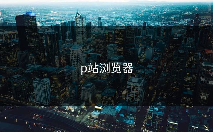 p站浏览器 p站浏览器