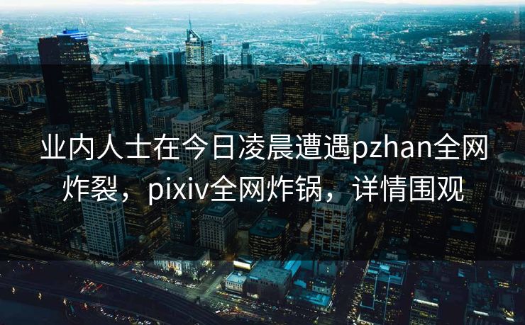 业内人士在今日凌晨遭遇pzhan全网炸裂,pixiv全网炸锅,详情围观 业内人士在今日凌晨遭遇pzhan全网炸裂,pixiv全网炸锅,详情围观