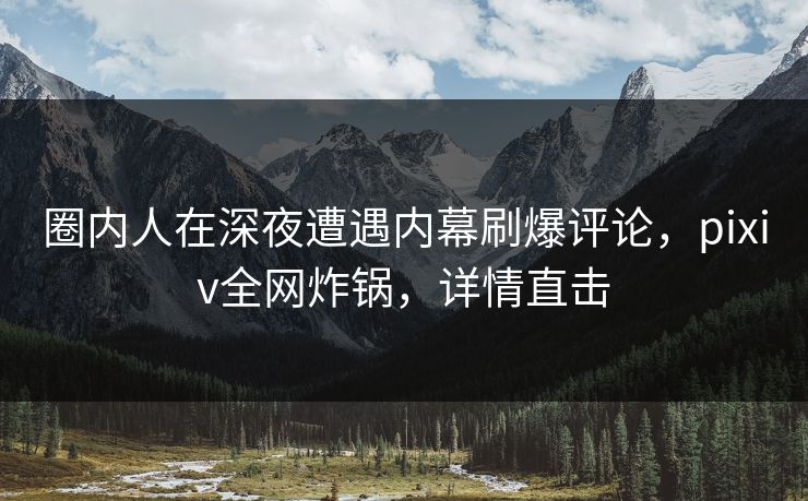 圈内人在深夜遭遇内幕刷爆评论,pixiv全网炸锅,详情直击 圈内人在深夜遭遇内幕刷爆评论,pixiv全网炸锅,详情直击