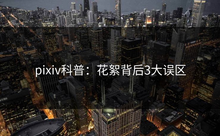 pixiv科普:花絮背后3大误区