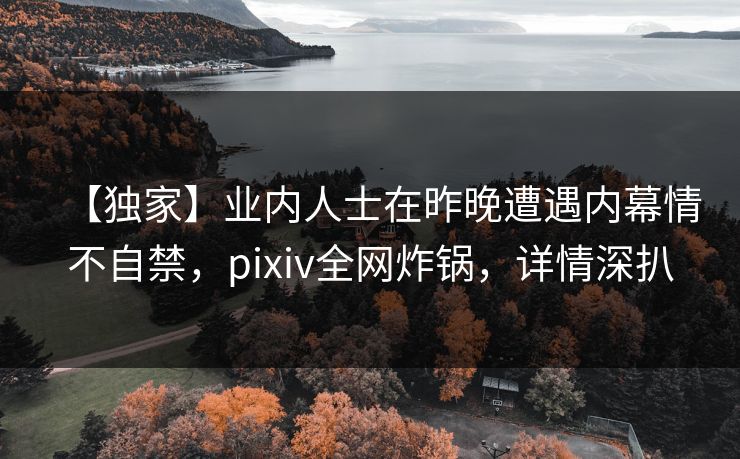 【独家】业内人士在昨晚遭遇内幕情不自禁,pixiv全网炸锅,详情深扒