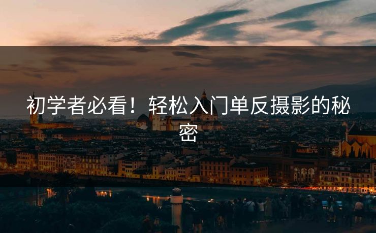 初学者必看！轻松入门单反摄影的秘密